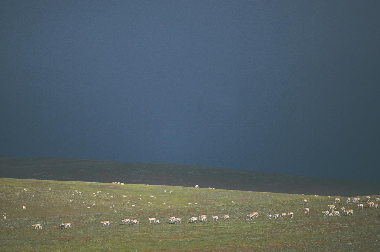 ���fֻ������ۼ��ڿɿ�����׿�˺��a��