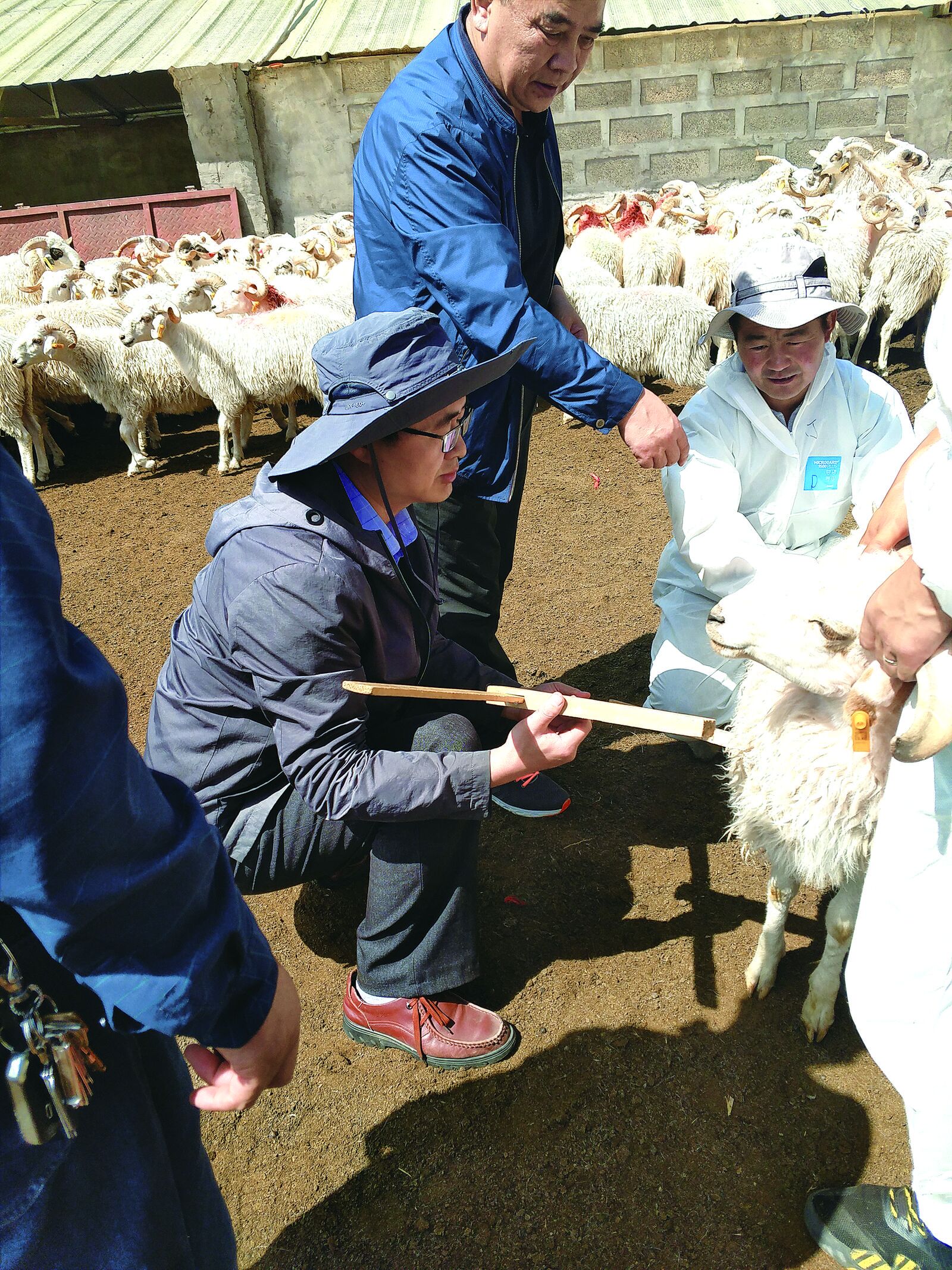 QQ�DƬ20240719055206