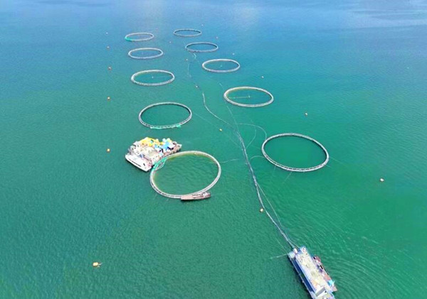 QQ�؈D20240719171800