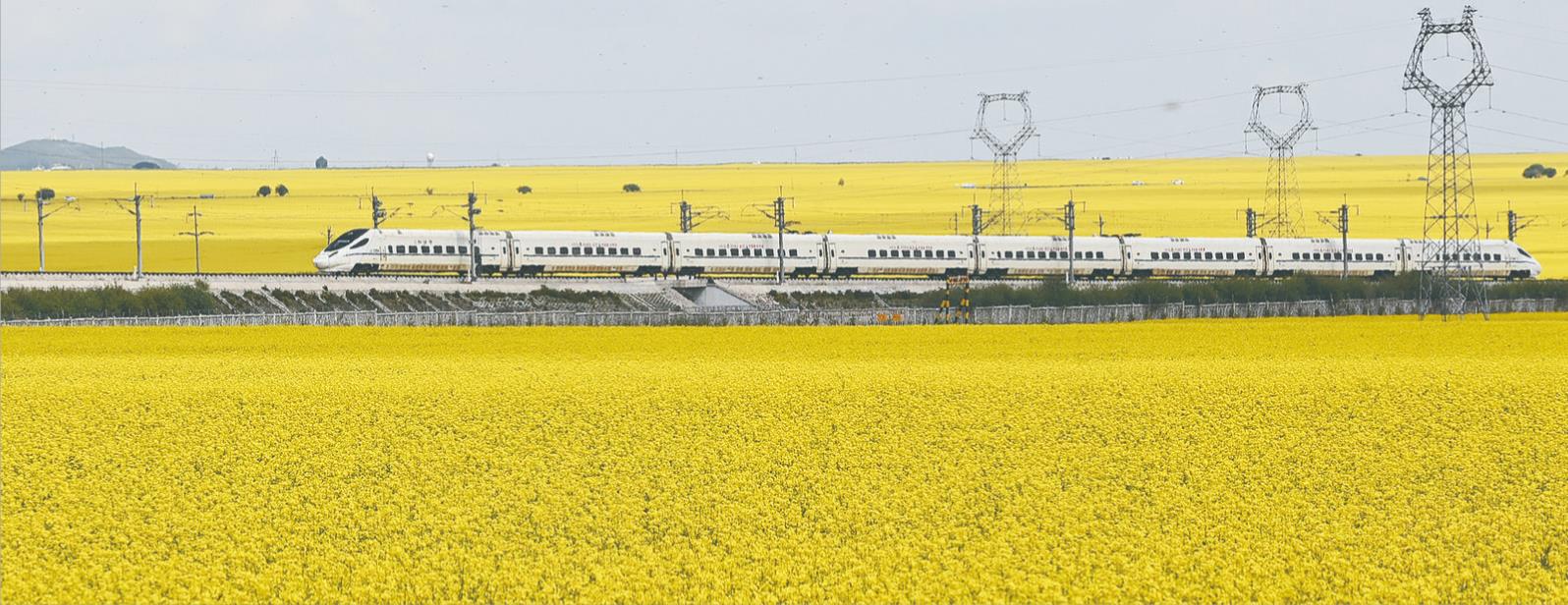 360截圖20240721060919446