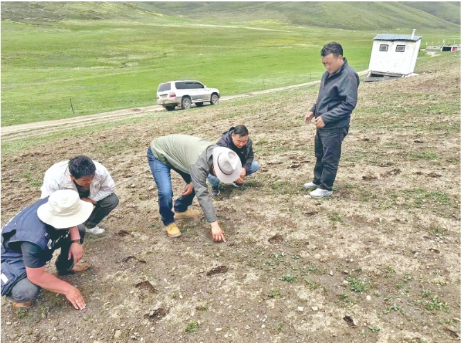 ΢�Ž؈D_20240722054057