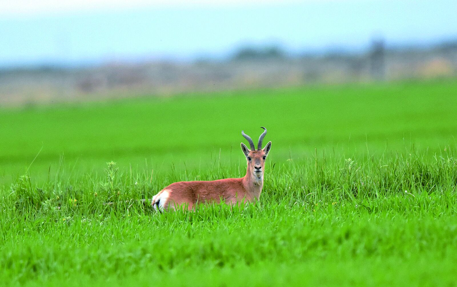 QQ�DƬ20240723054653