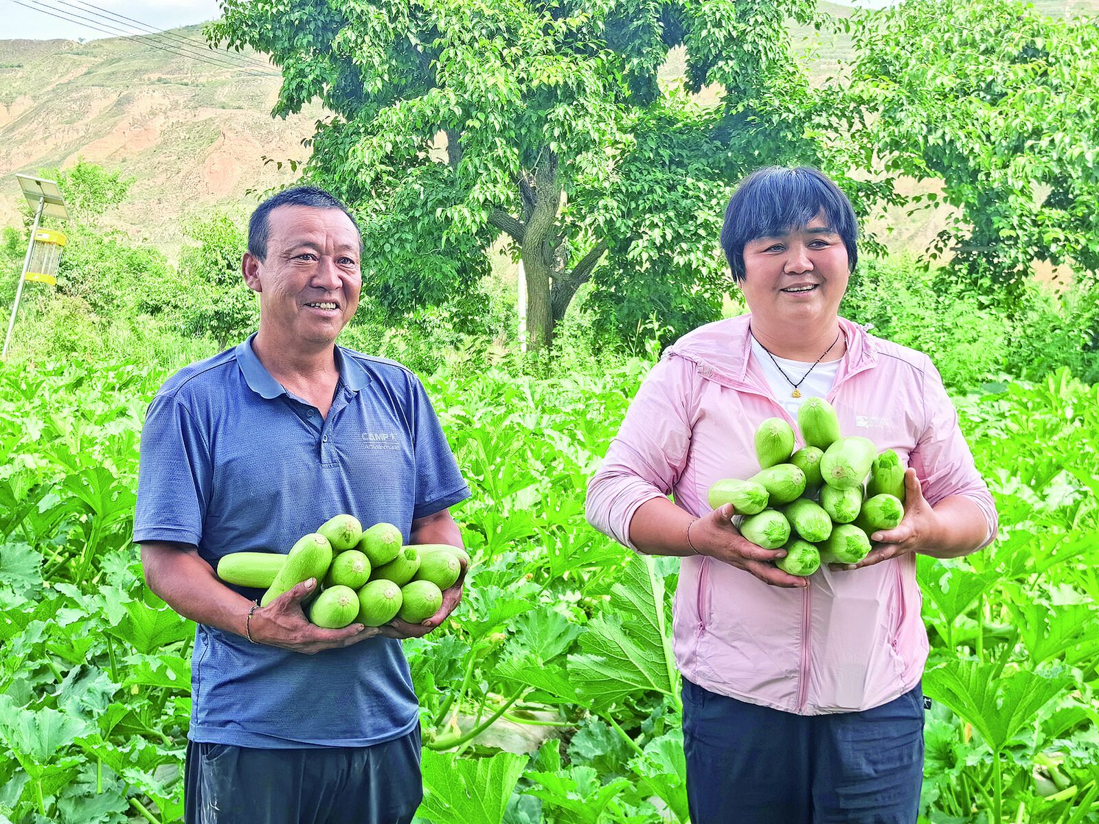 ���r���^�졿�F��÷��������ɫ�a�I֮·