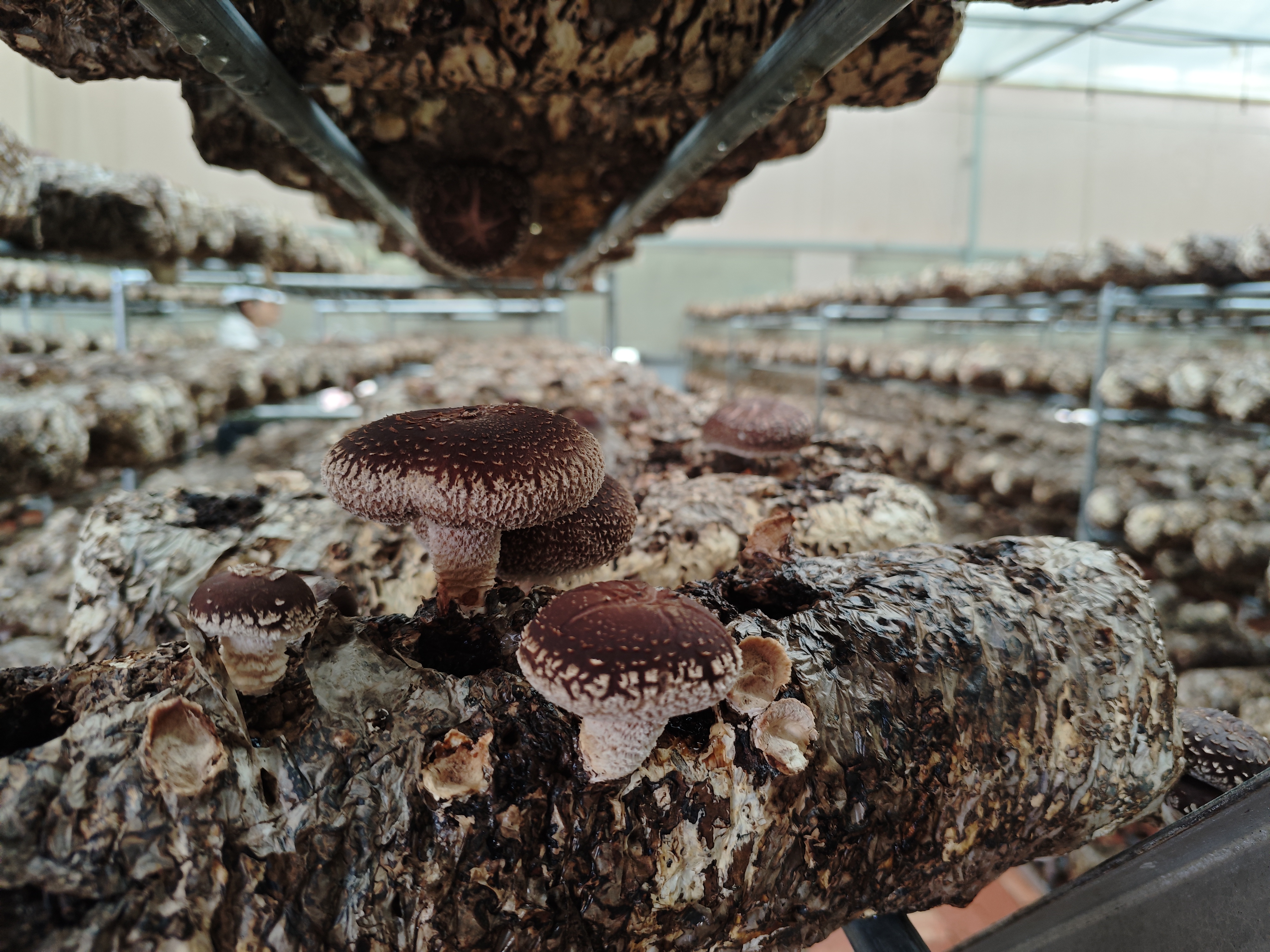 微信圖片_20240801104605