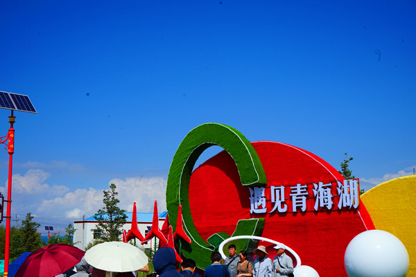 DSC05014_����