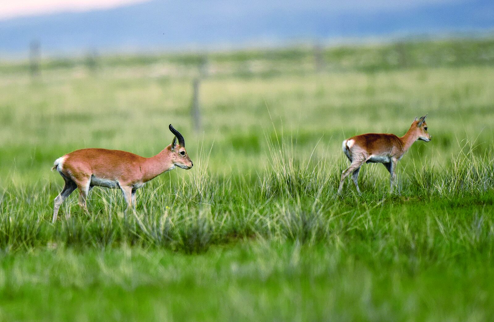 QQ�DƬ20240814060833