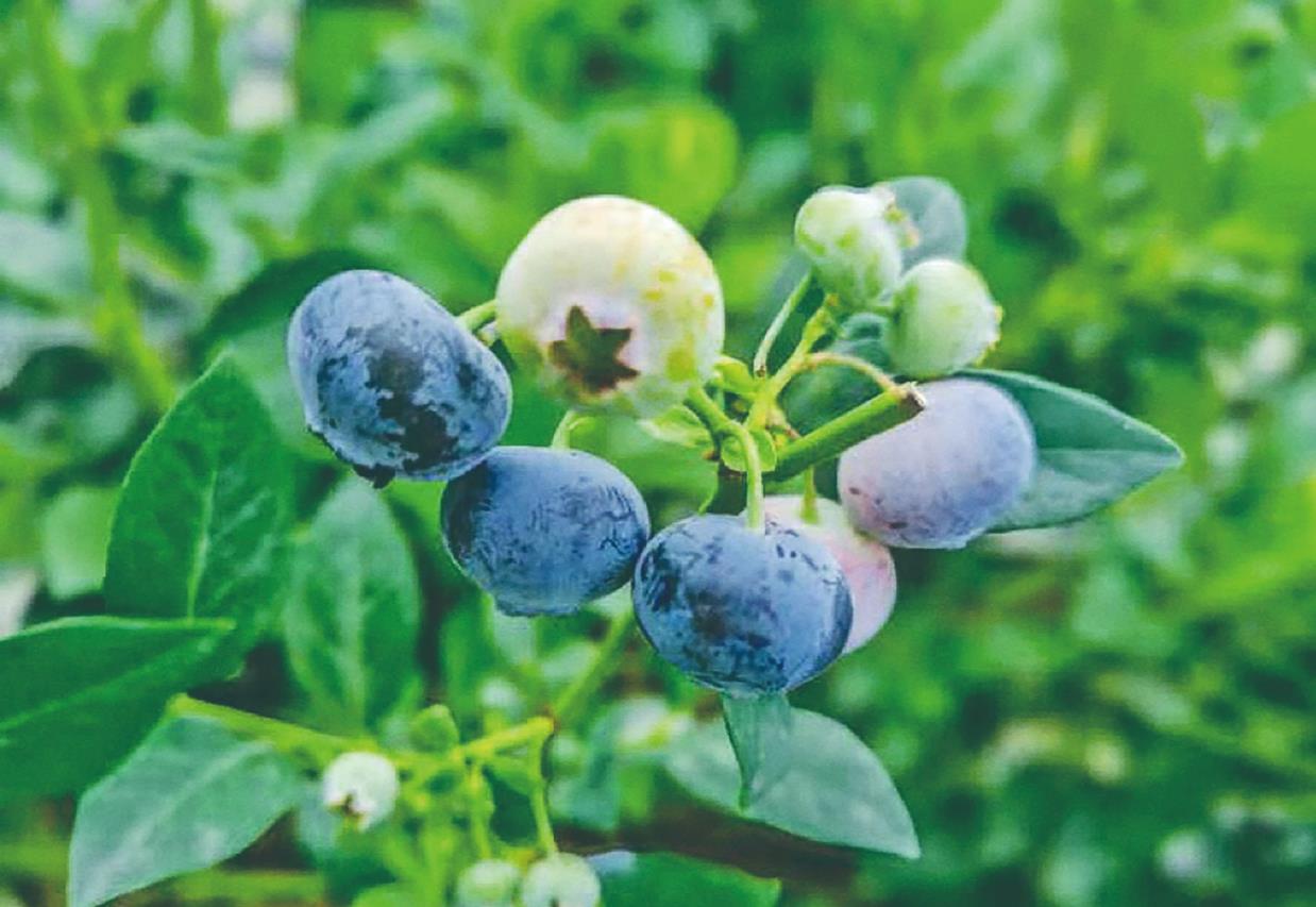 ���h�򽛝���С�{ݮ �͘I���ա��Ҹ�����