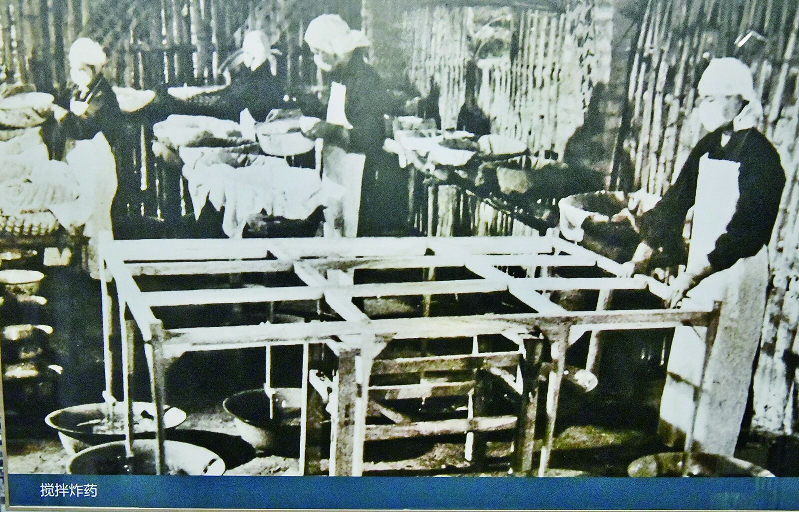 QQ�DƬ20240822054345