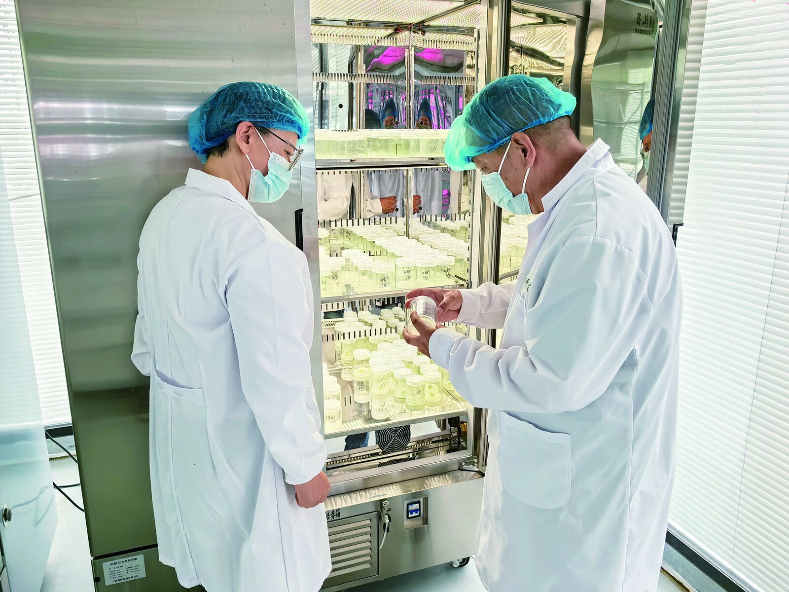 QQ�DƬ20240822061934