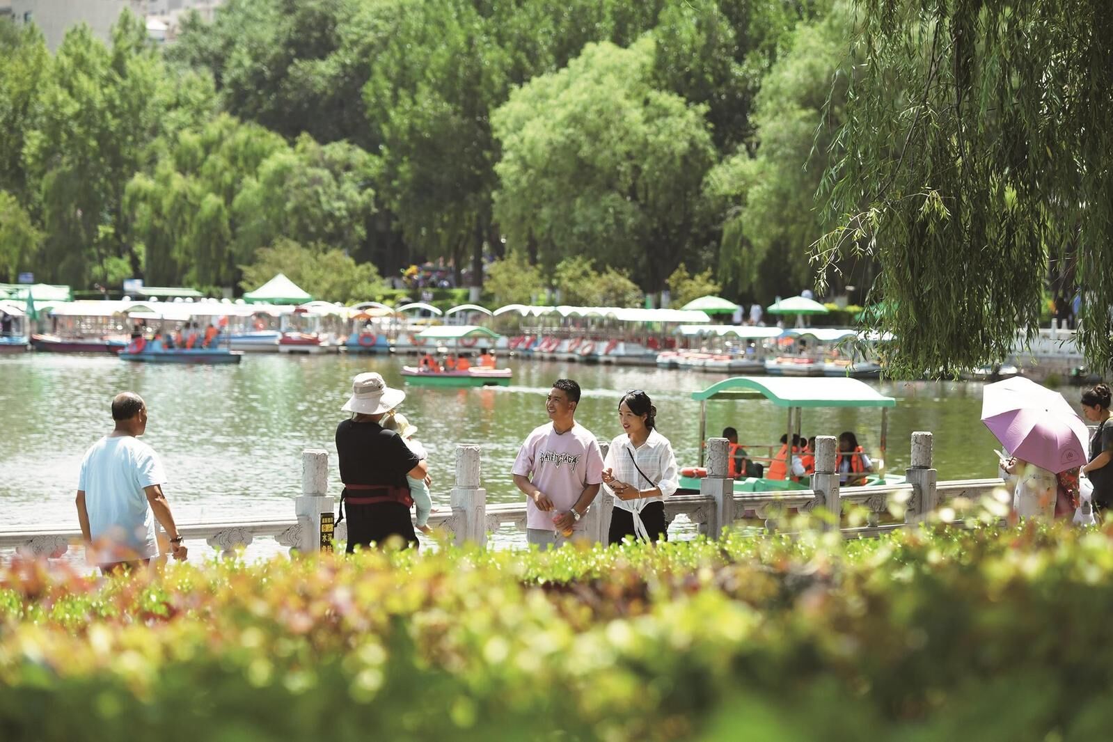 �ļ�ƽ����؃H��16.9�z�϶� ��������������@ô����