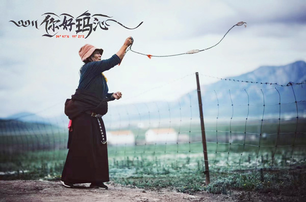 微信圖片_20240824195301_副本