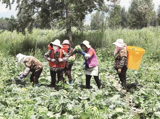 �ຣ��ͨ�h7�f������߲˽��߳��N��ʡ��