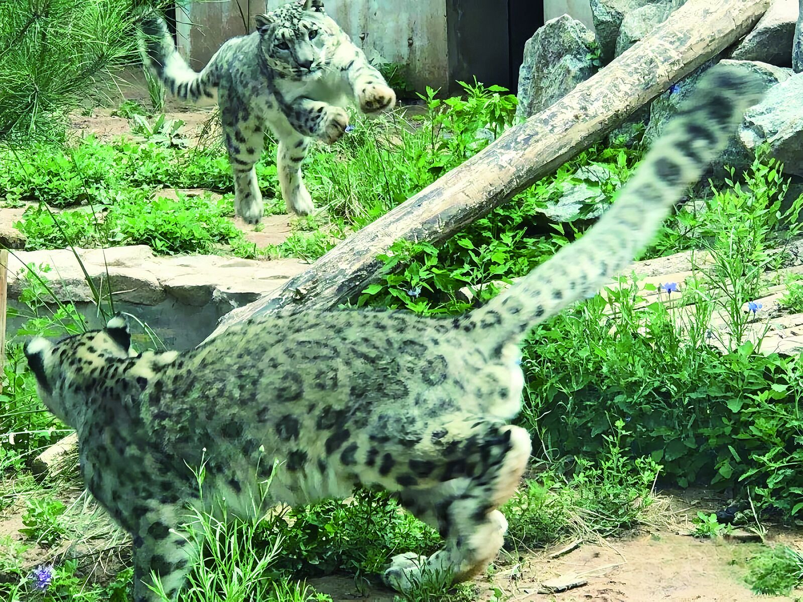 QQ�DƬ20240903060031