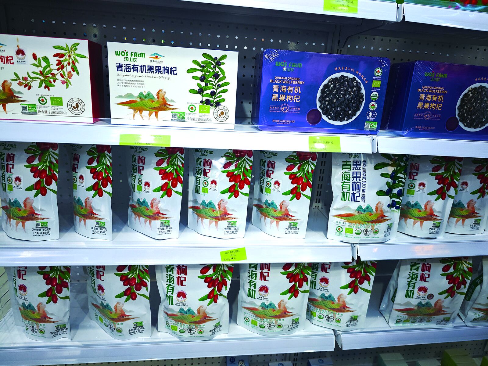 QQ�DƬ20240913054257