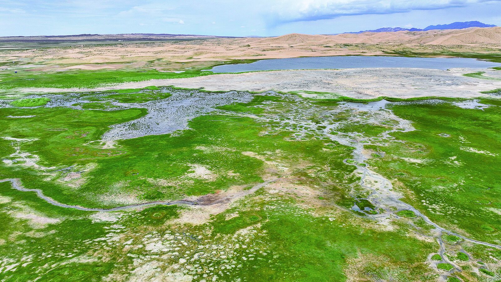 QQ�DƬ20240913060122