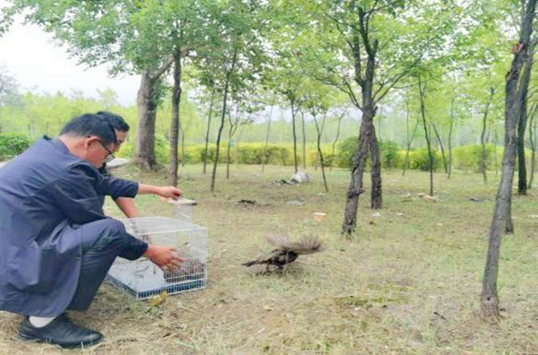 微信圖片_20240913205547_副本