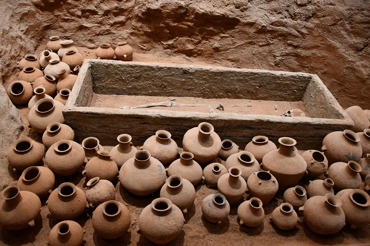 微信圖片_20240920094757