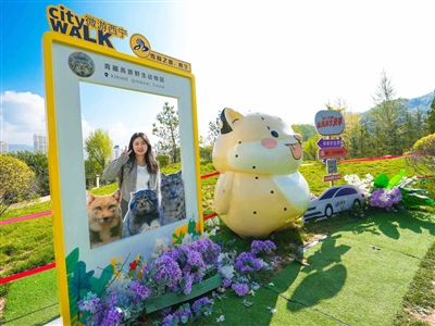 ��̽��ѩ��֮�������c����ѩ���^����[�Ƿ�