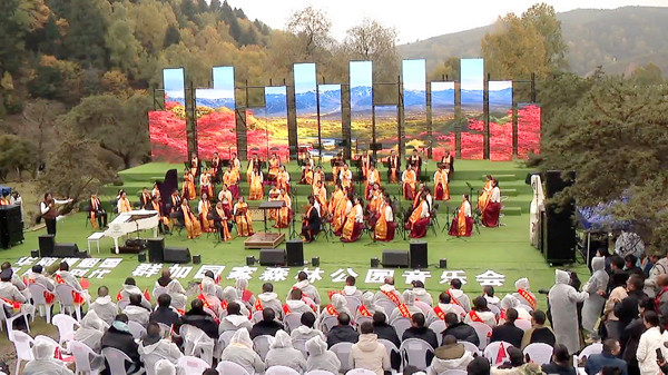 Screenshot_2024-10-09-12-38-57-241_com.tencent.mm_副本