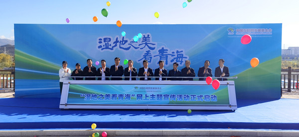 ΢�ňDƬ_20241015090543