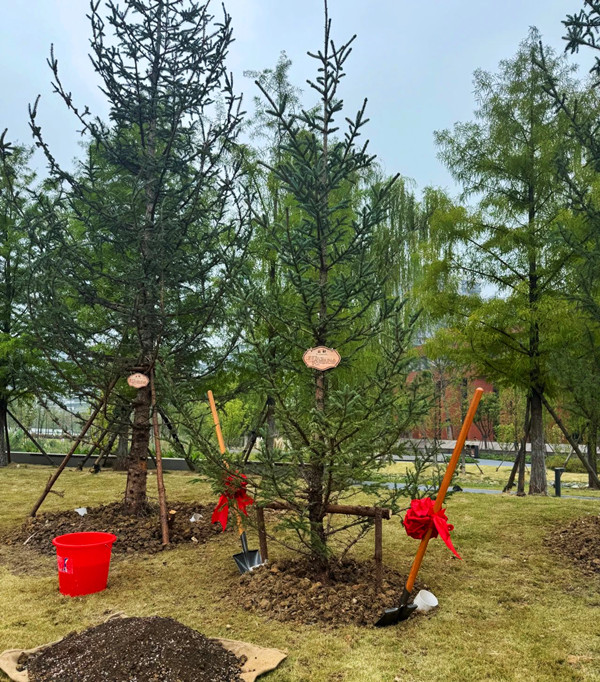 微信圖片_20241017202905