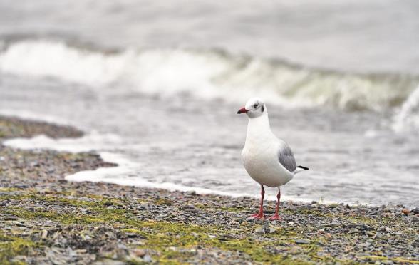 ������� ���l�������֮�����ຣ