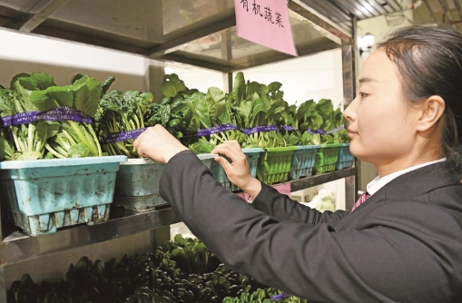 ΢�Ž؈D_20241028071238