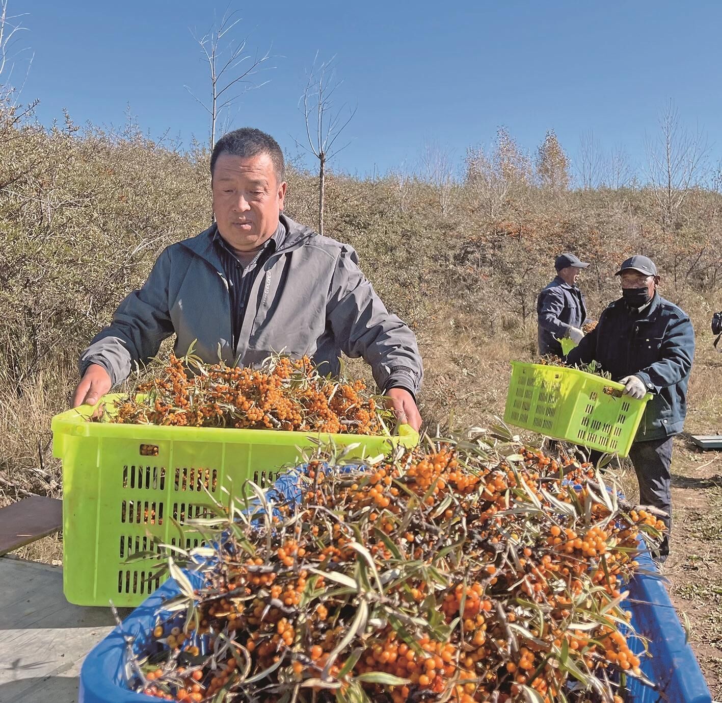 QQ�DƬ20241029062559