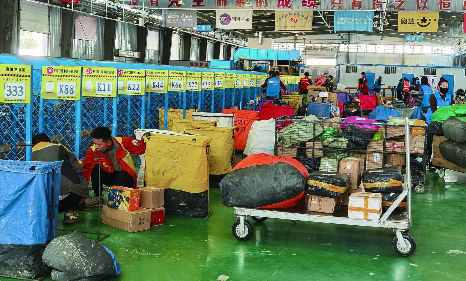 QQ�DƬ20241106061851