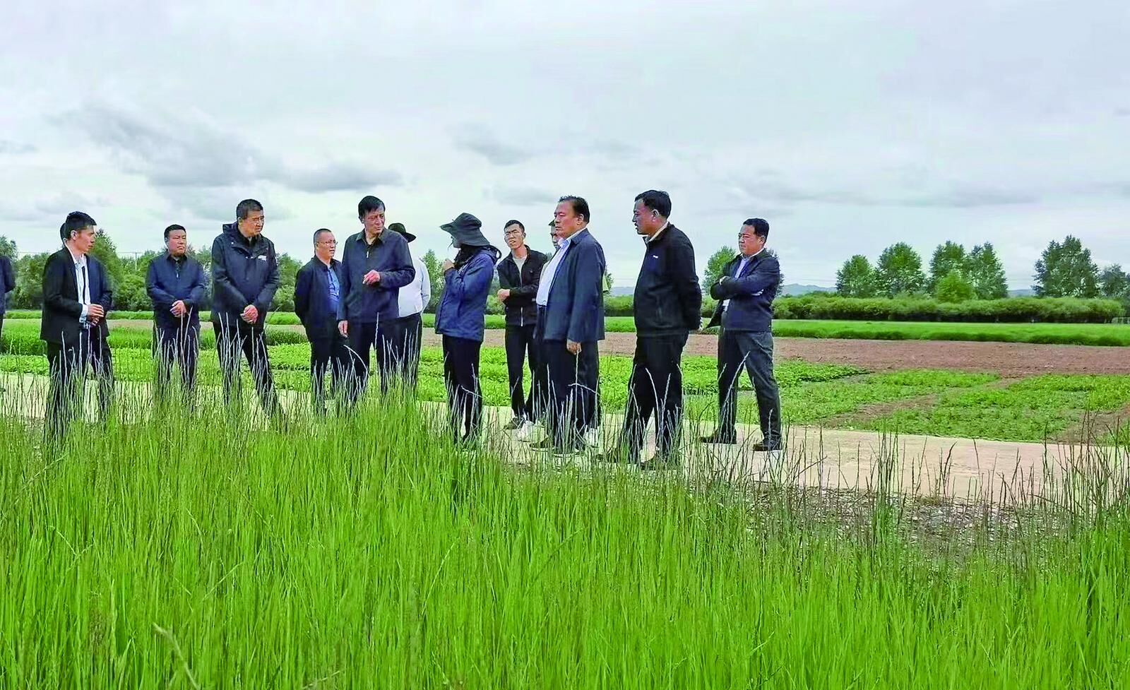 QQ�DƬ20241114060514