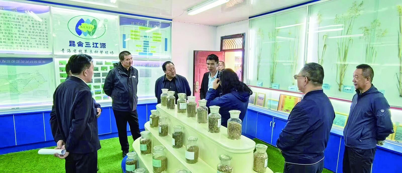 QQ�DƬ20241114060521