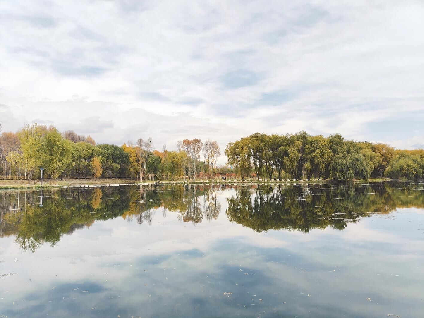 ����ӛ���� ���ɺV�С������к��Ͽ��lչ���J����������׃��