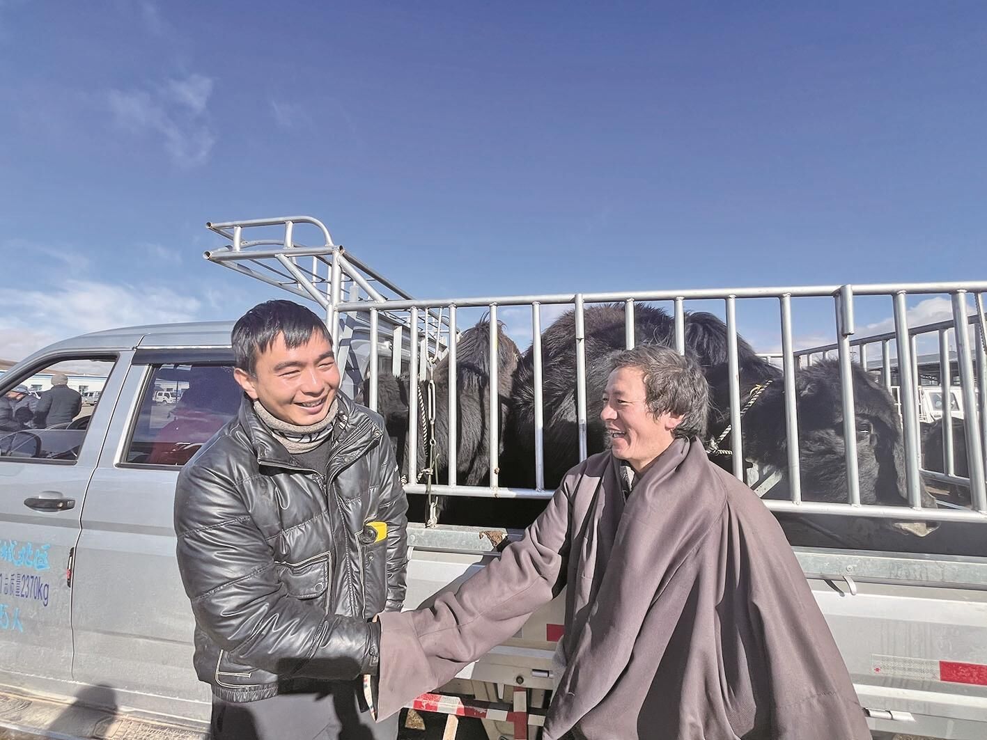 QQ�DƬ20241114063131