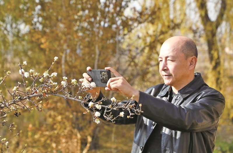 微信截圖_20241118070646