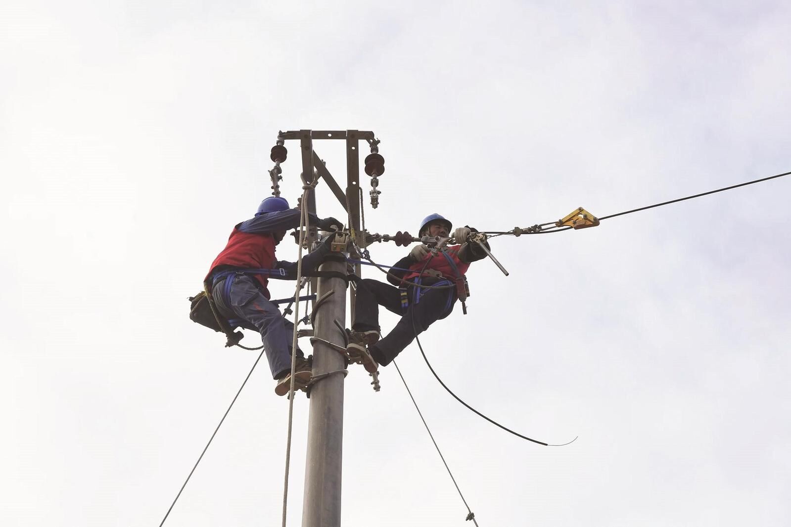 QQ�DƬ20241120061921