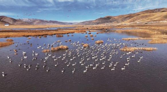 �ຣ¡�������ӭ�����BͣЪ�߷���