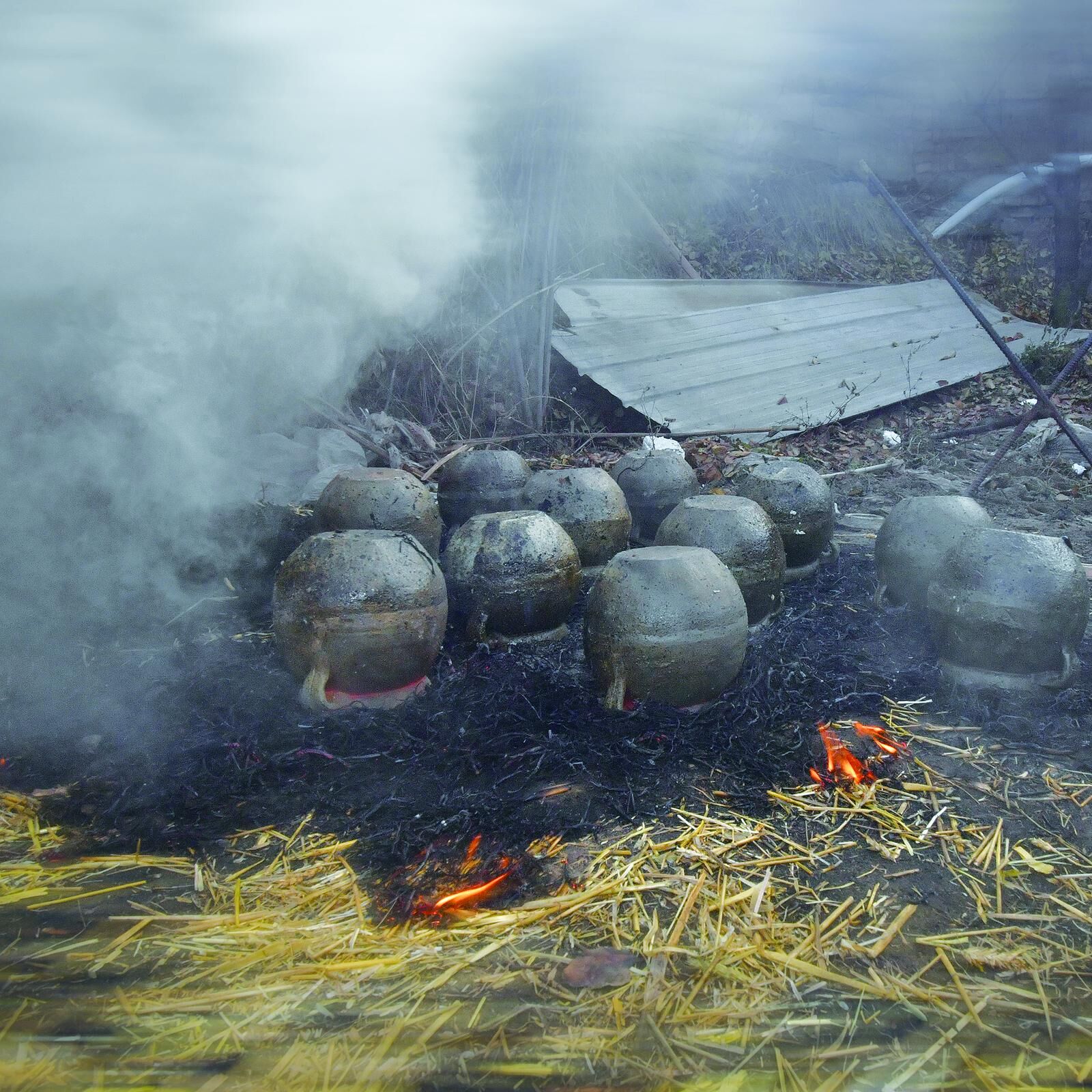 QQ�DƬ20241122060507