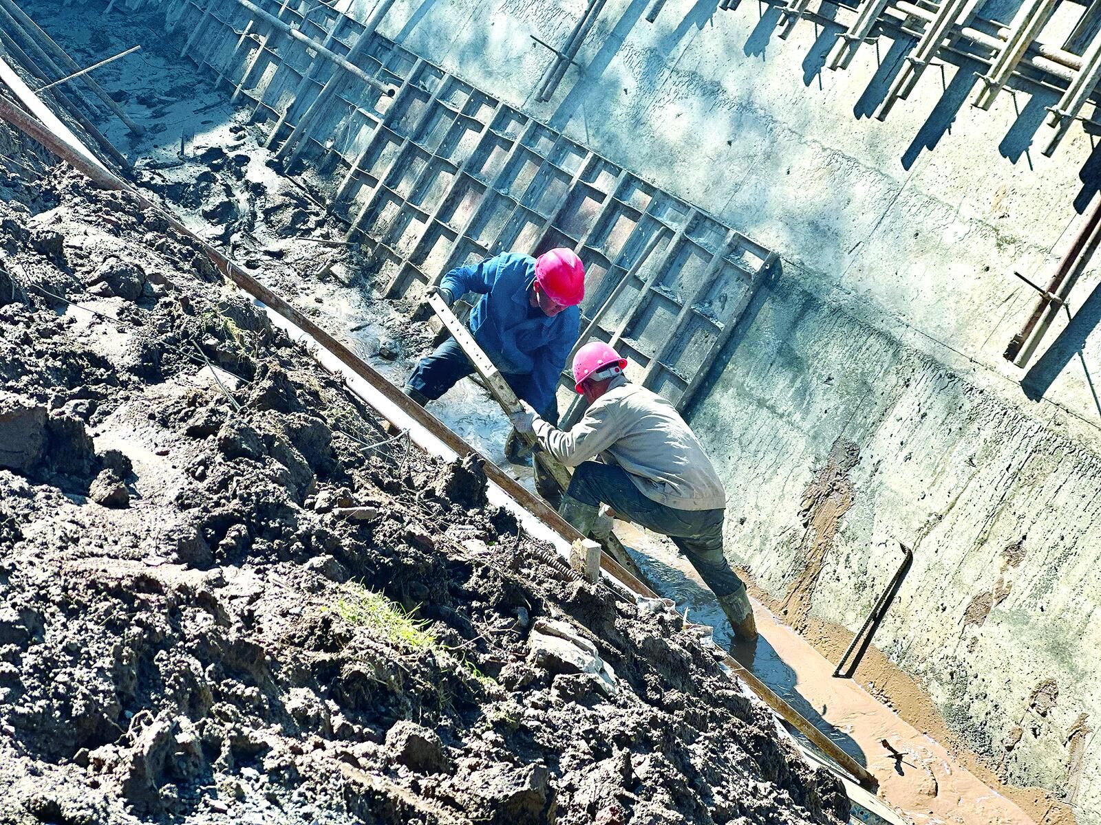 QQ�DƬ20241122061852