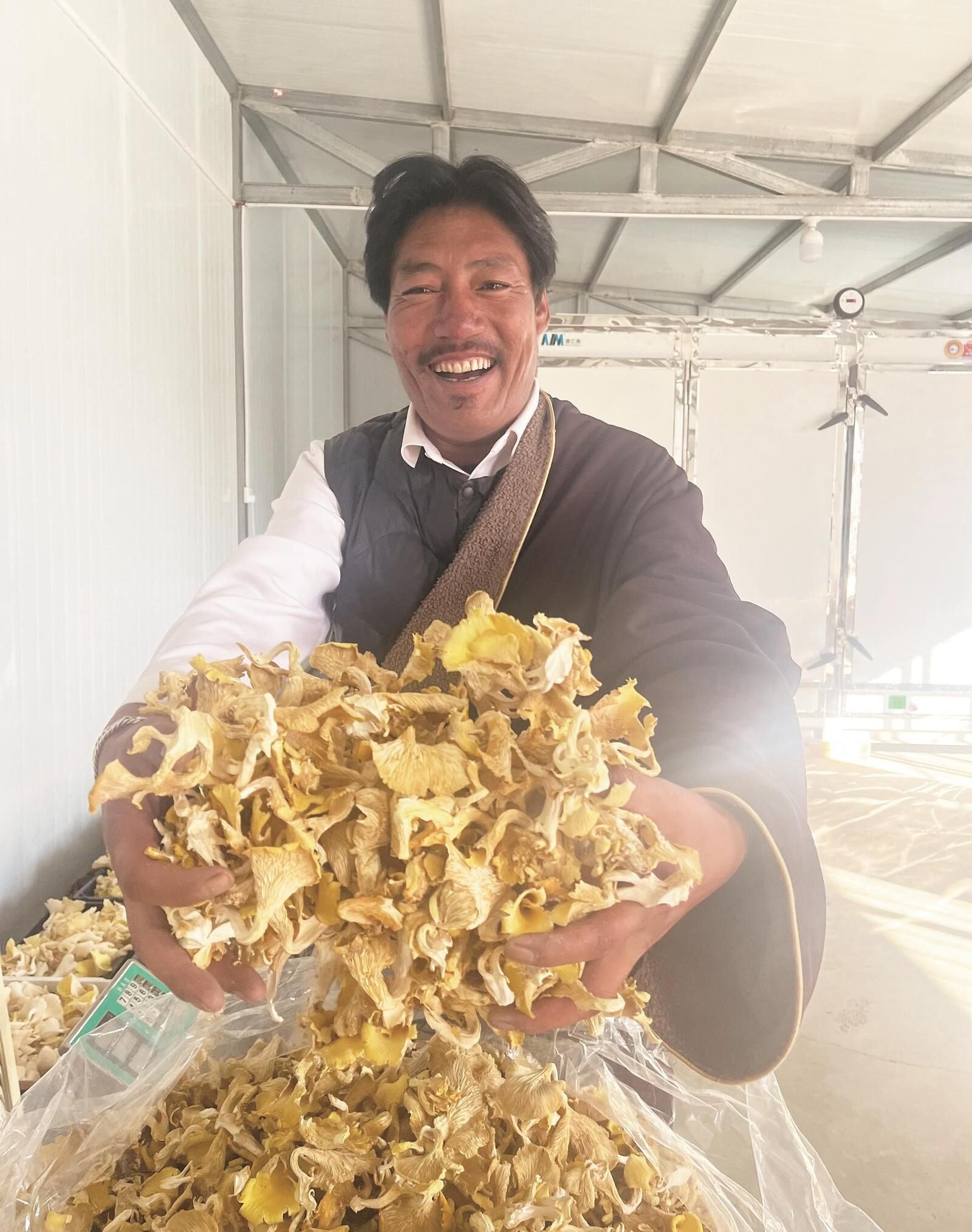 QQ�DƬ20241122063402