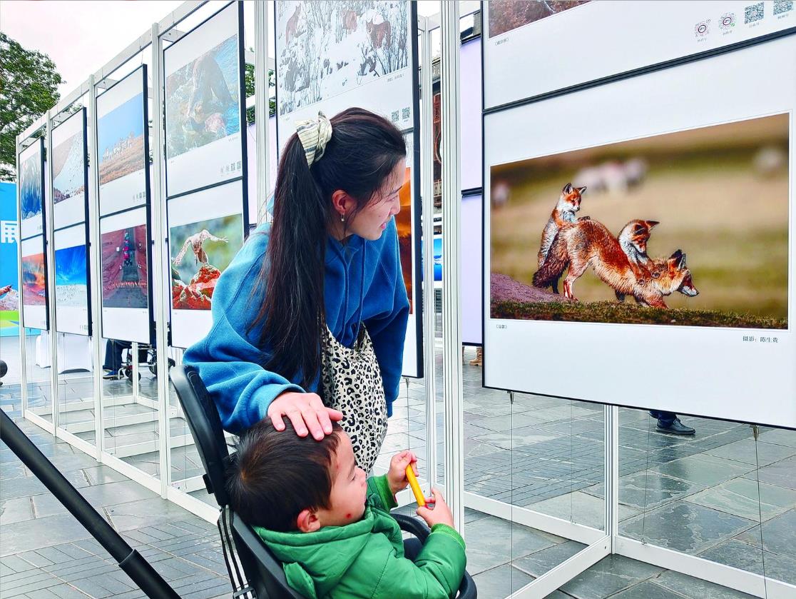 ��ɽ��ˮԴ �����ຣ���ڶ����Ї�Ұ������zӰ��չ�_Ļ