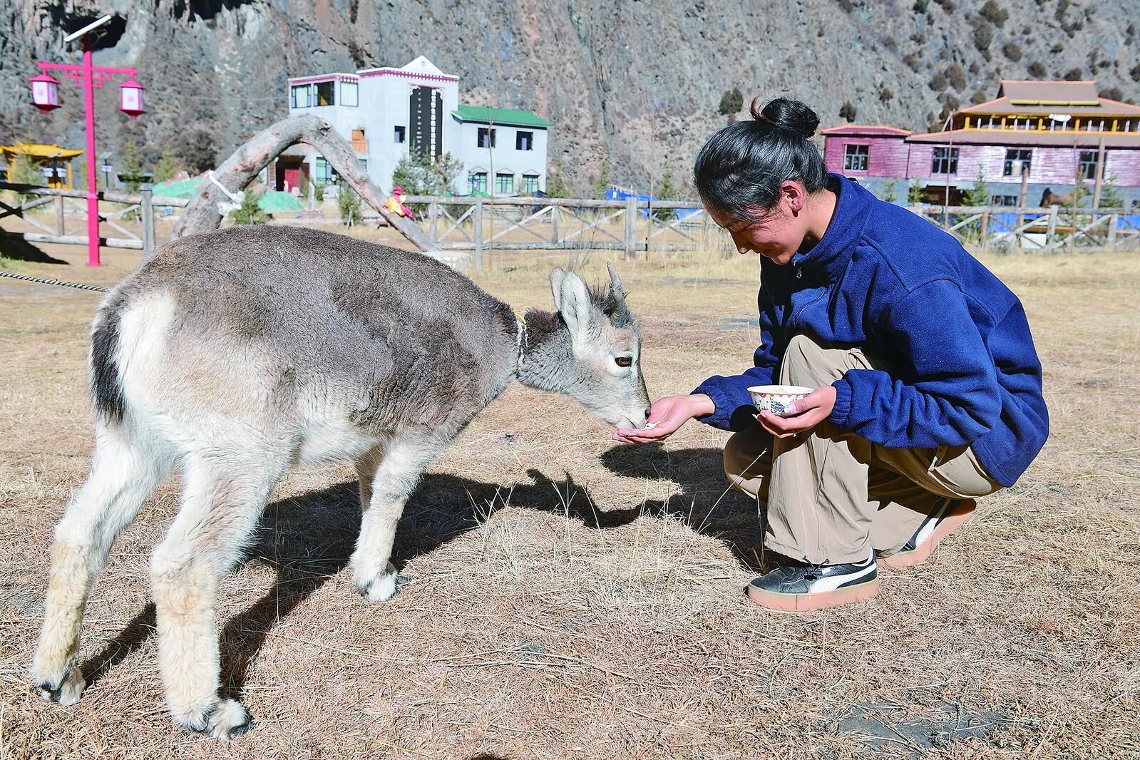 QQ�DƬ20241128054549