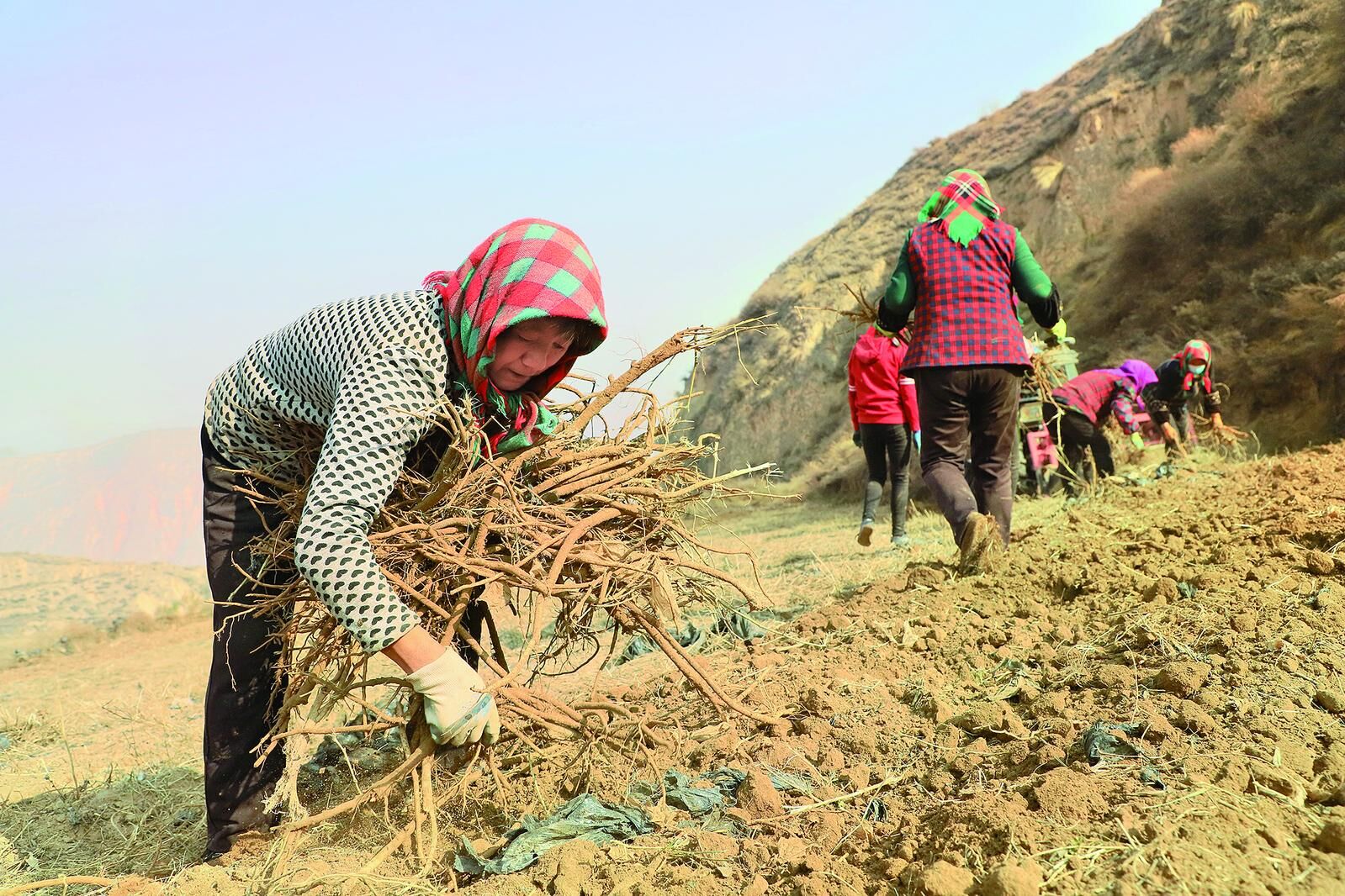 QQ�DƬ20241128062509