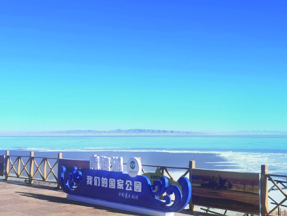 ΢�Ž؈D_20241202060620