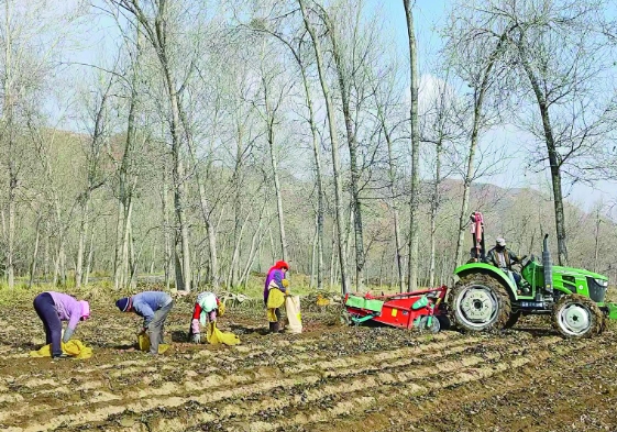 ΢�Ž؈D_20241202065103