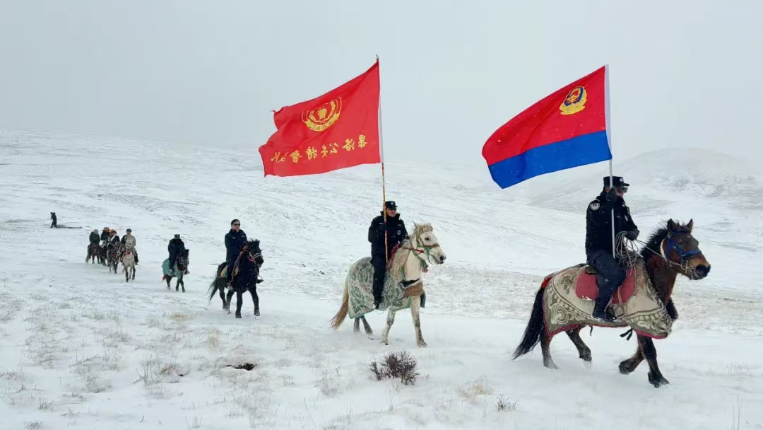 微信圖片_20241211123709