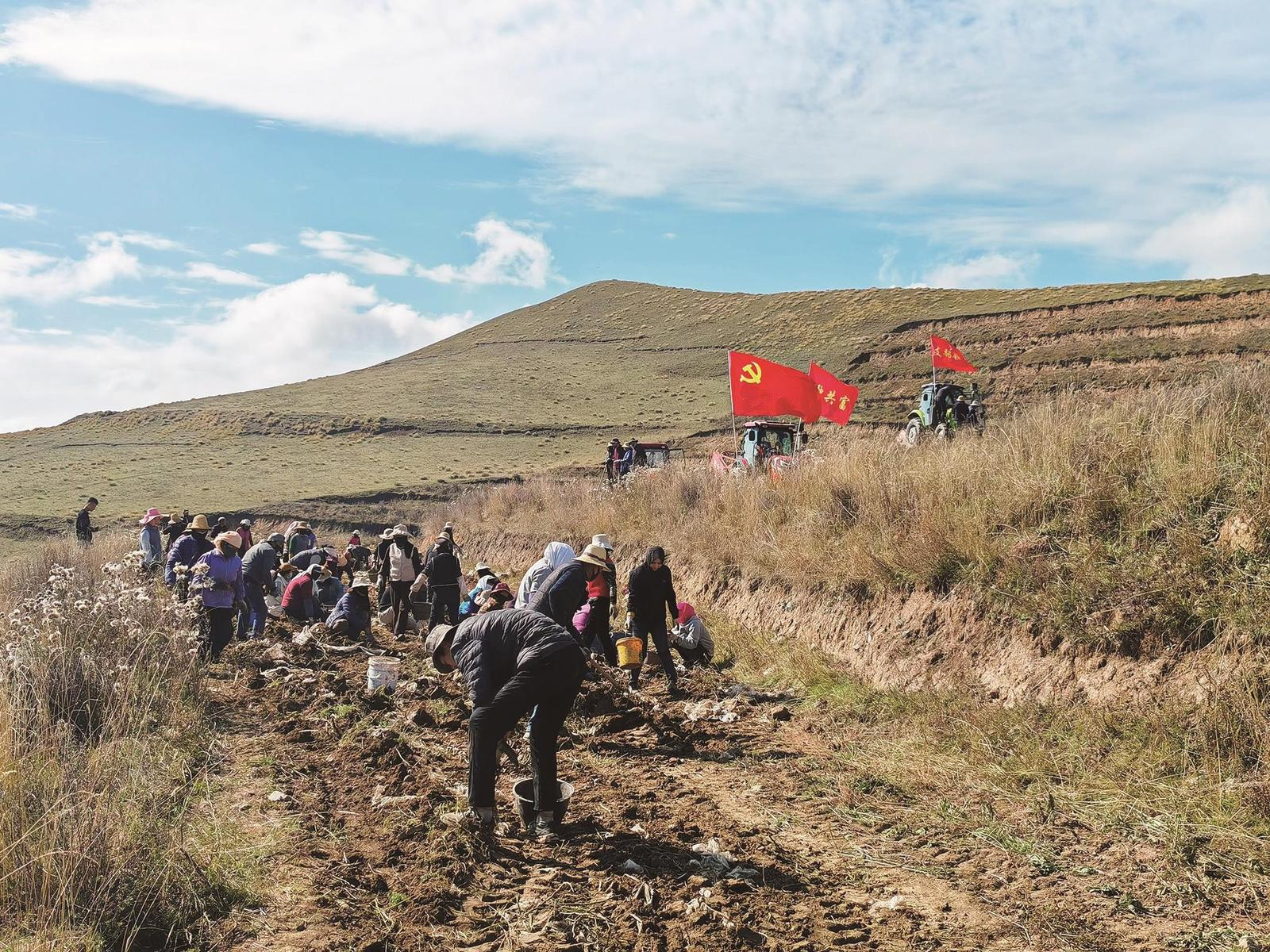 ����ӛ���� ���ɺV�С���¡������ɹɖ| �y(t��ng)�N�R�¸�