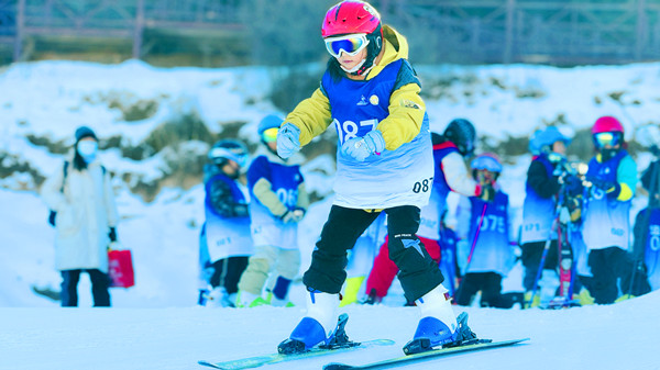 微信圖片_20241228183833_副本