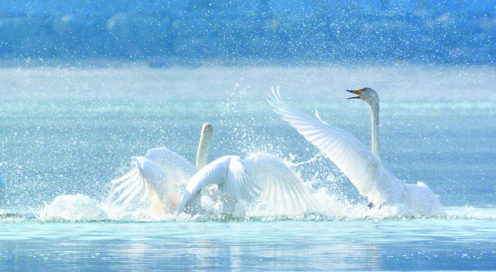 ΢�ňDƬ_20241229064431