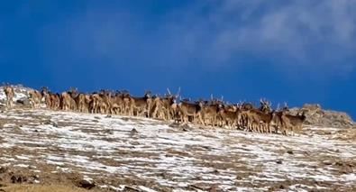 ��Ҋ�������S��Դ�^���F(xi��n)�״�¹��ϴ�NȺ