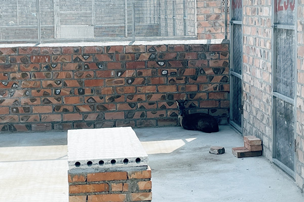 微信圖片_20241226110655_副本